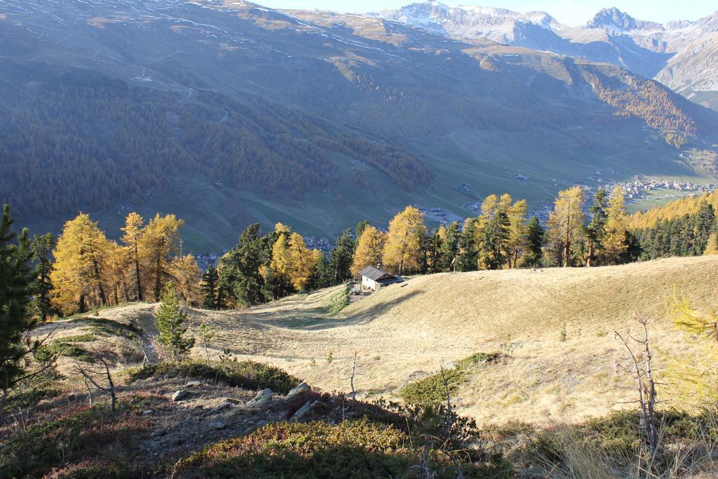 B&B Via Vai Livigno Buitenkant foto